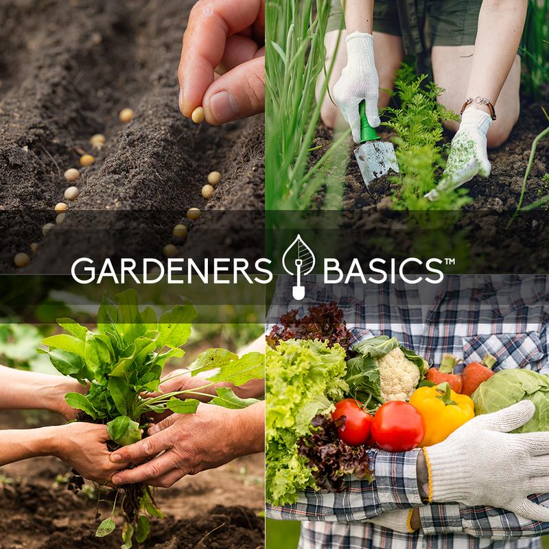 Gardeners Seed Vault Kit